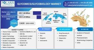 Glycomics/Glycobiology Market